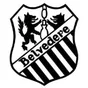Old Belvedere RFC crest